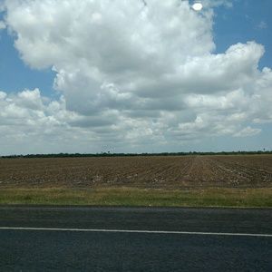 Meet your Posher, Lashunda